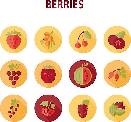 EPS 해외이미지 열매 음식 잎 과일 일러스트 딸기 포도 수박 사람없음 빨간색 검은색 나뭇가지 신선 체리 달콤 다발 블루베리 산딸기 블랙베리 건포도 구스베리 해외202004 해외일러스트 나무 식물 컬러 맛 건과일 파일형식 벡터 컨셉 건조 이미지허브