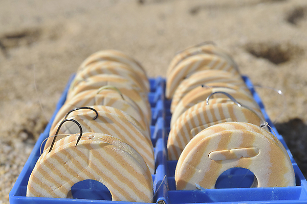 포토 JPG 해외이미지 낚시 어류 사람없음 장비 고리 어부 미끼 보유 신발장 해외202004 해외포토 직업 레저 수중동물 파일형식 이미지허브