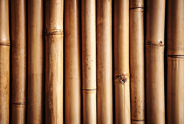 포토 JPG 해외이미지 나무 식물 선 줄기 백그라운드 잎 패턴 채소 자연 사람없음 목재 장식 초록색 울타리 갈색 노란색 정원 줄무늬 성장 신선 실 숲 묶기 대나무 유기농 질감 생물학 짜임 내추럴 고립 이국적 직진 해외202004 해외포토 웰빙 교육 컬러 무늬 재료 모션 담장 생태계 파일형식 이미지허브