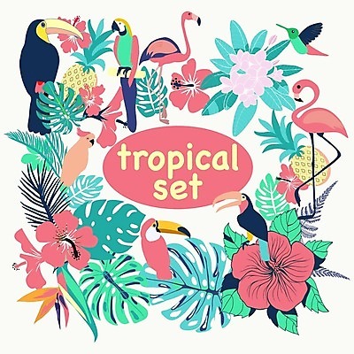 EPS 해외이미지 식물 디자인 꽃 백그라운드 잎 꽃무늬 패턴 일러스트 자연 조류 바나나 손바닥 미술 그래픽 초록색 여름 세트 유행 수집 플라밍고 파인애플 하와이 앵무새 내추럴 고립 이국적 히비스커스 해외202004 해외일러스트 동물 손 계절 컬러 무늬 과일 문화예술 미국 열대과일 생태계 파일형식 벡터 이미지허브