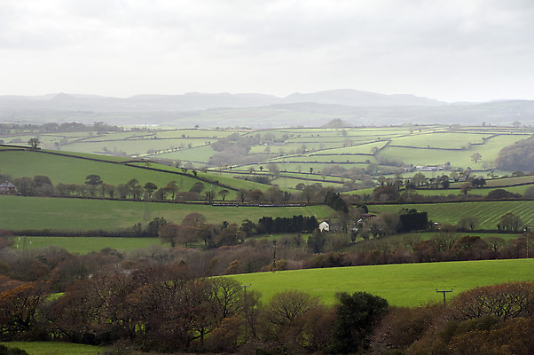 포토 JPG 해외이미지 여행 백그라운드 잉글랜드 풍경 사람없음 초록색 농경지 안개 시골 언덕 그림 지형 콘월 목가 해외202004 해외포토 컬러 날씨 영국 농장 파일형식 이미지허브