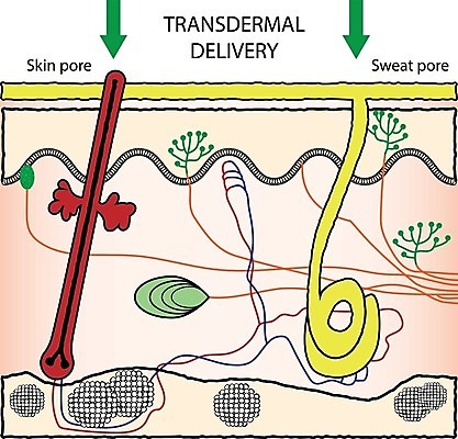 EPS 해외이미지 모델 직업 신체 일러스트 세포 막대사탕 약 화장품 장비 계획 질병 플라스틱 피부 함선 땀 시스템 층 외과 테라피 배수구 돌봄 리프팅 수소 셀룰라이트 스타일 해외202004 해외일러스트 컨셉 배_교통 의학 모션 재질 병원 사탕 신체부위 뷰티 원소 파일형식 벡터 이미지허브