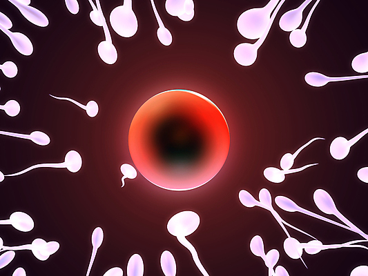 포토 JPG 해외이미지 과학 자연 새로움 세포 현미경 사람없음 스터디 약 계란 수영 원형 조직 확대 생명공학 작음 유기농 질감 생물학 조제 내추럴 바이오 여의주 해외202004 해외포토 도형 웰빙 교육 컨셉 의학 실험기구 학습 알 수상스포츠 크기 생태계 만들기 파일형식 이미지허브