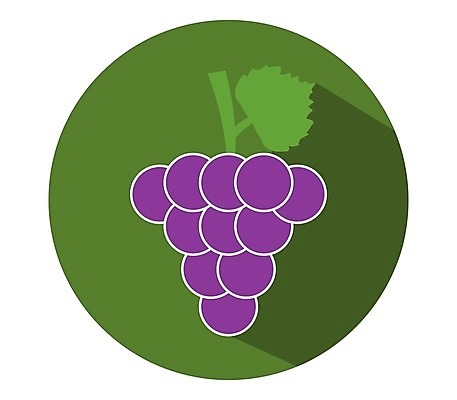 EPS 해외이미지 식물 디자인 열매 선 음식 잎 농업 과일 일러스트 포도 디저트 그래픽 와인 플랫 달콤 먹기 심볼 사인 유기농 심플 윤곽 포도나무 내추럴 고립 숙성 양조장 채식주의자 타격 미니멀 해외202004 해외일러스트 웰빙 산업 모션 주류 맛 과일나무 채식 파일형식 벡터 이미지허브
