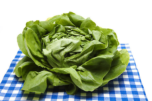 포토 JPG 해외이미지 음식 잎 채소 사람없음 초록색 식사 샐러드 수확 식탁보 신선 상추 먹기 확인 흰배경 냅킨 날것 해외202004 해외포토 식물 컬러 백그라운드 농업 모션 흰색 파일형식 이미지허브