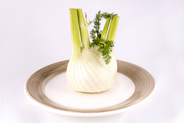 포토 JPG 해외이미지 식물 음식 백그라운드 잎 다이어트 채소 재료 전구 자연 건강 요리 사람없음 초록색 식사 샐러드 흰색 신선 양념 그룹 맛 먹기 허브 향신료 오브젝트 흰배경 유기농 날것 뿌리 향 내추럴 고립 생식 채식주의자 회향 해외202004 해외포토 웰빙 컬러 컨셉 모션 생태계 채식 향미료 파일형식 이미지허브