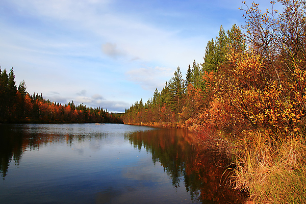 포토 JPG 해외이미지 계절 잎 오렌지 자연 하늘 풍경 사람없음 빨간색 물 파란색 강 컬러풀 반사 가을 숲 해외202004 해외포토 자연요소 식물 컬러 과일 생태계 파일형식 이미지허브