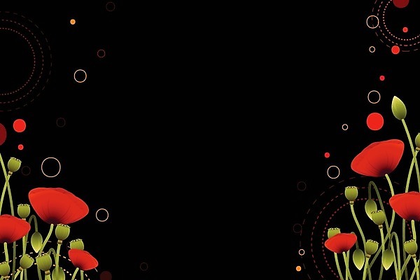 EPS 해외이미지 식물 꽃 백그라운드 꽃무늬 일러스트 빨간색 초록색 여름 봄 활발 들꽃 성장 양귀비 해외202004 해외일러스트 계절 컬러 컨셉 무늬 파일형식 벡터 이미지허브