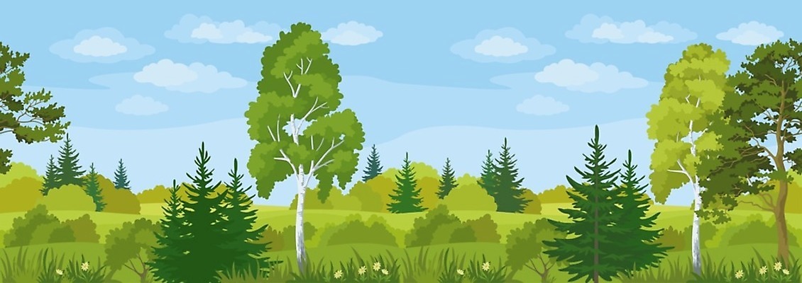 EPS 해외이미지 나무 식물 구름 계절 공원 꽃 잎 꽃무늬 일러스트 자연 벽지 하늘 날씨 왕관 파노라마 풍경 야외 목재 가로 초록색 여름 파란색 노란색 환경 봄 성장 흰색 나뭇가지 시골 소나무 숲 관목 그림 침엽수 전나무 자작나무 내추럴 생태학 캐모마일 가문비나무 해외202004 해외일러스트 자연요소 공공시설 교육 컬러 무늬 재료 촬영기법 허브 생태계 파일형식 벡터 이미지허브