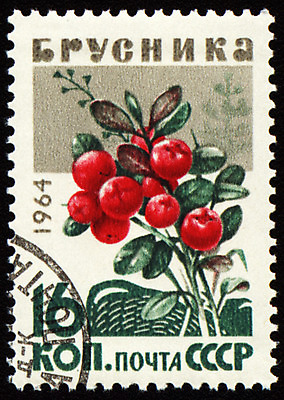 포토 JPG 해외이미지 식물 열매 음식 여행 잎 다이어트 과일 자연 건강 사람없음 빨간색 초록색 농작물 약 라벨 정원 나뭇가지 숲 수집 흔적 그림 러시아 우표 취소 삼림지대 지그재그 해외202004 해외포토 나무 유럽 컬러 농업 의학 프레임 생태계 파일형식 이미지허브