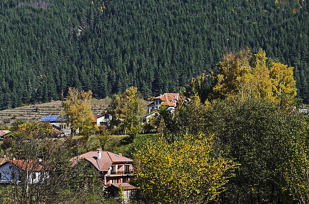 포토 JPG 해외이미지 나무 계절 유럽 도로 낙엽 건축양식 하늘 산 주택 풍경 경사 사람없음 야외 건물 목재 여행객 마을 계곡 산책 하이킹 가을 소나무 정상 숲 장면 방문 침엽수 불가리아 웅장함 절정 해외202004 해외포토 식물 건축물 건축 나라 길 잎 재료 교통시설 레저 휴식 사람 파일형식 남유럽 이미지허브