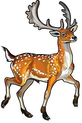 EPS 해외이미지 동물 척추동물 남자 아시아 야생동물 일러스트 포유류 자연 초식동물 뿔 동물원 목재 걷기 환경 달러 황무지 우아함 숲 대륙 흰배경 생물학 서식지 고립 단아함 동물상 아기사슴 해외202004 해외일러스트 나무 교육 나라 새끼 컨셉 돈 재료 모션 사슴 사람 조형물 흰색 생태계 파일형식 벡터 식물 컬러 미술 재산 문화예술 금융 경제 이미지허브