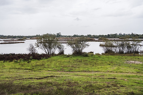 포토 JPG 해외이미지 식물 동물 공원 유럽 호수 야생동물 바다 백그라운드 자연 조류 풍경 사람없음 초록색 컬러풀 갈색 여행객 평화 걷기 환경 스페인 플라밍고 발견 내추럴 생태학 스페인어 안달루시아 전국 해외202004 해외포토 공공시설 교육 나라 컬러 컨셉 모션 사람 생태계 파일형식 이미지허브
