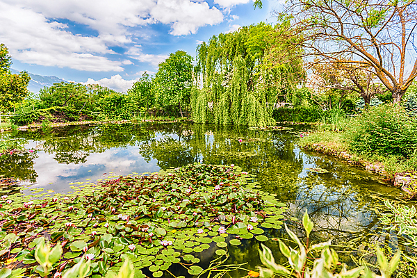 포토 JPG 해외이미지 나무 계절 공원 호수 여행 백그라운드 잎 자연 하늘 아침 산 풍경 사람없음 야외 초록색 물 여름 파란색 강 햇빛 반사 환경 침묵 봄 가을 시골 연못 숲 장면 전국 해외202004 해외포토 주간 자연요소 식물 공공시설 컬러 태양 소리 생태계 파일형식 이미지허브