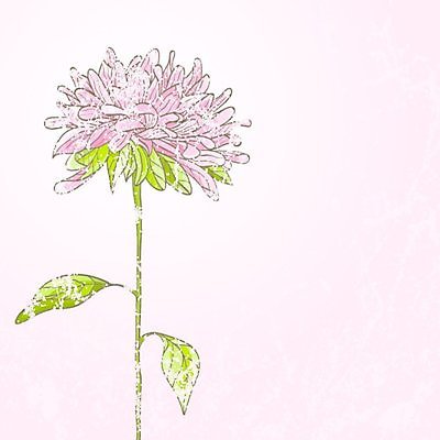 EPS 해외이미지 식물 디자인 꽃잎 꽃 종이 분홍색 결혼 백그라운드 꽃무늬 일러스트 자연 벽지 추상 잉크 국화 사랑 미술 그래픽 장식 여름 컬러풀 봄 수확 인사 신용카드 생일 스케치 그림 질감 복고 초대 손그림 공상 굴곡 그런지 엘리먼트 옛날 스타일 해외202004 해외일러스트 계절 기념일 감정 컬러 무늬 농업 문화예술 이벤트 금융 예절 생태계 파일형식 벡터 이미지허브