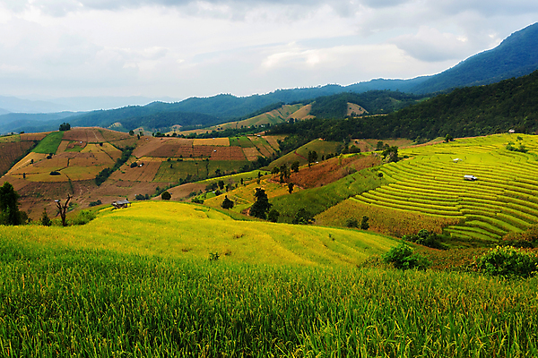 포토 JPG 해외이미지 구름 여행 태국 하늘 밥 산 풍경 사람없음 관광지 고요 내추럴 해외202004 해외포토 자연요소 아시아 음식 파일형식 이미지허브