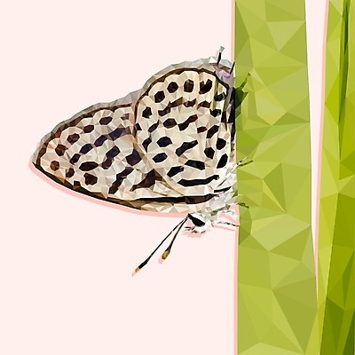 EPS 해외이미지 모양 동물 디자인 행복 포스터 야생동물 나비 곤충 백그라운드 컨셉 잎 날개 일러스트 자연 추상 미술 야외 그래픽 장식 초록색 여름 정원 자유 흰색 신선 플랫 벌레 정상 숲 심볼 오브젝트 질감 종이접기 엘리먼트 착륙 폴리곤 스타일 해외202004 해외일러스트 식물 계절 감정 종이 컬러 무늬 문화예술 생태계 접기 파일형식 벡터 이미지허브