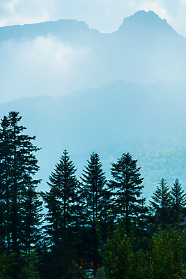 포토 JPG 해외이미지 나무 식물 구름 계절 공원 여행 백그라운드 자연 하늘 휴가 산 파노라마 풍경 사람없음 야외 목재 초록색 여름 파란색 빛 햇빛 태양 계곡 봄 안개 시골 소나무 숲 언덕 즐거움 장면 폴란드 내추럴 슬로바키아 절정 해외202004 해외포토 자연요소 공공시설 감정 유럽 컬러 재료 날씨 촬영기법 생태계 파일형식 이미지허브