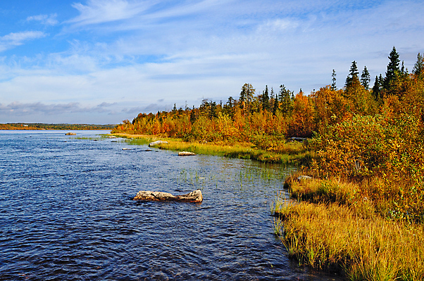 포토 JPG 해외이미지 나무 구름 잎 하늘 사람없음 물 강 노란색 가을 바위 숲 잔물결 해외202004 해외포토 자연요소 식물 계절 물결 컬러 돌_바위 파일형식 이미지허브