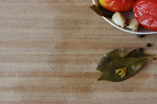 포토 JPG 해외이미지 접시 잡화 계절 음식 조각 백그라운드 토마토 채소 재료 양파 오이 샌드위치 건강 마늘 사람없음 빨간색 초록색 쌓기 당근 흰색 신선 보호 향신료 유기농 피클 슬라이스 소금 후추 통조림 흙더미 내추럴 오이피클 절임 짠맛 채식주의자 핸드메이드 해외202004 해외포토 식기 웰빙 컬러 컨셉 모션 뿌리채소 흙 맛 채식 향미료 파일형식 더미 이미지허브