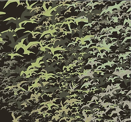 EPS 해외이미지 모양 동물 계절 실루엣 야생동물 날개 일러스트 가족 자연 갈매기 조류 하늘 휴가 휴식 종류 그림자 야외 여름 세트 자유 그리기 그룹 공작 숲 왜가리 문신 심볼 깃털 비둘기 앵무새 윤곽 독수리 철사 까마귀 해외202004 해외일러스트 컨셉 관계 모션 촬영기법 생태계 파일형식 벡터 이미지허브