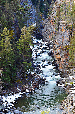 포토 JPG 해외이미지 나무 공원 자연 풍경 사람없음 야외 물 강 골짜기 계곡 폭포 개울 황무지 급류 숲 지역 암초 해외202004 해외포토 자연요소 식물 공공시설 생태계 파일형식 이미지허브