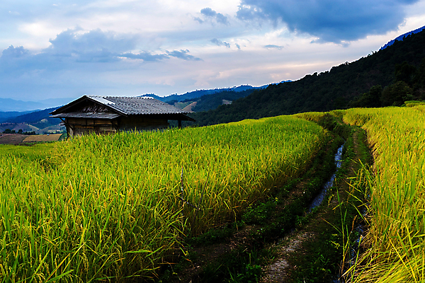 포토 JPG 해외이미지 구름 여행 태국 하늘 밥 산 풍경 사람없음 관광지 고요 내추럴 해외202004 해외포토 자연요소 아시아 음식 파일형식 이미지허브