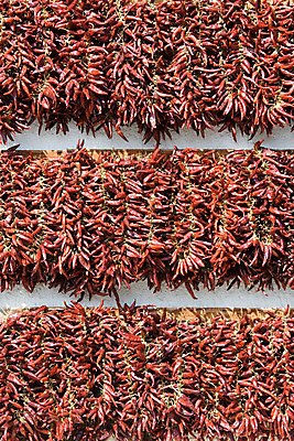 포토 JPG 해외이미지 선 줄 음식 백그라운드 채소 재료 고추 파프리카 프레임 건조 요리 사람없음 장식 가로 빨간색 쌓기 상점 화환 뜨거움 양념 조미료 그룹 주식 다발 배열 향신료 매움 향료 수납 후추 흙더미 꼬투리 숙성 줄서기 짠맛 억울 해외202004 해외포토 꽃 감정 컬러 모션 금융 흙 맛 향기 냄새 향미료 파일형식 더미 이미지허브