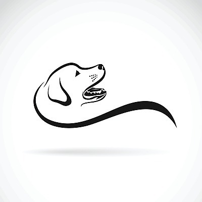 EPS 해외이미지 일러스트 사람없음 반려동물 검은색 흰색 개 강아지 래브라도리트리버 해외202004 해외일러스트 동물 컬러 포유류 리트리버 파일형식 벡터 이미지허브