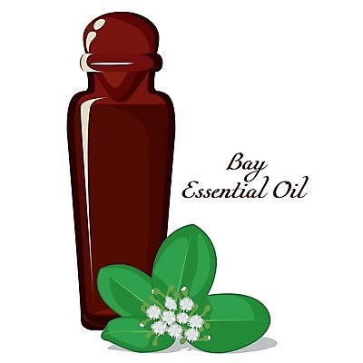 EPS 해외이미지 식물 라이프스타일 꽃 꽃다발 잎 일러스트 유리 유리병 휴식 초록색 스파 화장품 신선 마사지 만 맛 허브 가득함 향수 플라스크 흰배경 향기 아로마 아로마테라피 테라피 악취 내추럴 고립 돌봄 치유 해외202004 해외일러스트 컬러 백그라운드 컨셉 모션 재질 병_용기 실험기구 생활 뷰티 흰색 냄새 파일형식 벡터 이미지허브