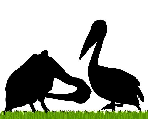 EPS 해외이미지 실루엣 백그라운드 일러스트 조류 잔디 그래픽 초록색 물 정원 검은색 흰색 펠리컨 고립 해외202004 해외일러스트 자연요소 식물 동물 컬러 촬영기법 파일형식 벡터 이미지허브
