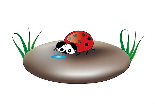 EPS 해외이미지 식물 캐릭터 곤충 백그라운드 일러스트 자연 날씨 추상 미술 야외 초록색 여름 빛 환경 정원 외침 봄 자유 슬픔 성장 바위 우아함 떨어짐 울음 만화 순수 눈물 생물학 무당벌레 웅덩이 장면 고립 해외202004 해외일러스트 일러캐릭터 동물 계절 교육 감정 컬러 컨셉 무늬 문화예술 표정 소리 돌_바위 생태계 파일형식 벡터 이미지허브