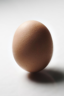 포토 JPG 해외이미지 음식 사람없음 세로 빛 계란 치킨 껍질 흰색 고립 해외202004 해외포토 컬러 알 닭고기요리 파일형식 이미지허브