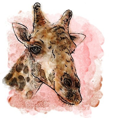 EPS 해외이미지 디자인 얼굴 일러스트 수채화 사람없음 기린 해외202004 해외일러스트 포유류 신체부위 파일형식 벡터 이미지허브