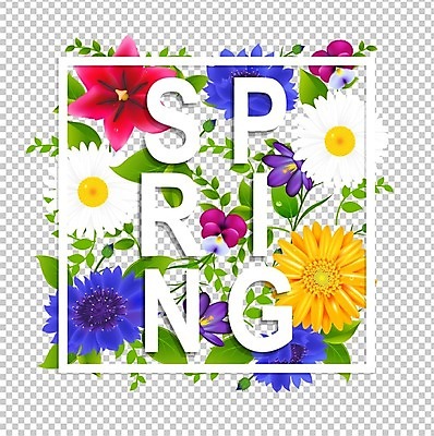 EPS 해외이미지 디자인 배너 계절 꽃 행복 포스터 종이 백그라운드 컨셉 잎 오렌지 일러스트 텍스트 자연 추상 휴가 사랑 미술 타이포그라피 그래픽 장식 빨간색 파란색 세트 꼬리표 라벨 세일 정원 봄 튤립 흰색 인사 시간 우아함 심볼 데이지 거베라 수레국화 캐모마일 해외202004 해외일러스트 식물 문자 감정 컬러 무늬 과일 문화예술 프레임 예절 허브 생태계 파일형식 벡터 이미지허브