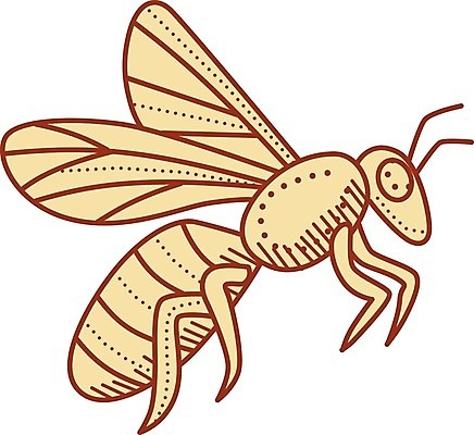 EPS 해외이미지 동물 곤충 일러스트 생물 그래픽 벌 흰배경 그림 심플 고립 호박벌 해외202004 해외일러스트 백그라운드 흰색 벌_곤충 파일형식 벡터 이미지허브