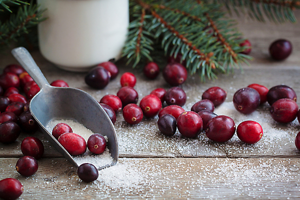 포토 JPG 해외이미지 열매 행복 음식 백그라운드 크리스마스 겨울 다이어트 과일 재료 휴가 디저트 새해 기념 건강 요리 사람없음 장식 컵 빨간색 파티 우주 어둠 에너지 추위 흰색 시골 신선 달콤 맛 잼 설탕 상쾌 레시피 전나무 요거트 내추럴 러시아인 크랜베리 페스츄리 핸드메이드 해외202004 해외포토 서양인 나무 식물 식기 계절 기념일 감정 빵 컬러 컨셉 유제품 이벤트 소스_음식 파일형식 이미지허브