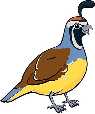 EPS 해외이미지 클립아트 동물 디자인 남자 어린이 백그라운드 일러스트 조류 미술 그래픽 파란색 노란색 계곡 검은색 흰색 만화 심볼 그림 클립 캘리포니아 메추리 해외202004 해외일러스트 컬러 문화예술 사람 미국 파일형식 벡터 이미지허브