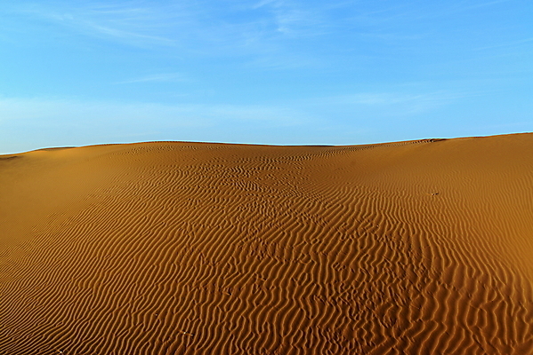 포토 JPG 해외이미지 모래 파도 여행 백그라운드 패턴 오렌지 아프리카 자연 하늘 건조 따뜻함 텐트 풍경 사람없음 야외 빨간색 여름 파란색 모래사장 태양 갈색 노란색 맑음 일몰 사막 뜨거움 거친 고독 갈증 모래언덕 묘사 지역 가뭄 리빙 모로코 사하라 내추럴 아랍어 해외202004 해외포토 자연요소 계절 감정 나라 바다 컬러 무늬 과일 날씨 캠핑도구 노을 언덕 생태계 파일형식 이미지허브