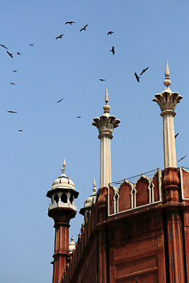 포토 JPG 해외이미지 디자인 아시아 종교 문화 여행 건축양식 조류 날리기 벽돌 동양인 사람없음 건물 탑 도시 사찰 역사 가난 이슬람교 인도인 비둘기 모스크 신성 구식 마스지드 숭배 옛날 힌두교 해외202004 해외포토 외국인 동물 건축물 건축 나라 컨셉 종교건축 모션 인종 파일형식 이미지허브