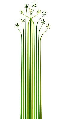 EPS 해외이미지 식물 디자인 줄기 백그라운드 잎 패턴 일러스트 자연 추상 손바닥 그래픽 세로 초록색 줄무늬 공백 성장 흰색 큼 내추럴 평행 모종 카피스페이스 해외202004 해외일러스트 손 컬러 무늬 크기 생태계 파일형식 벡터 이미지허브