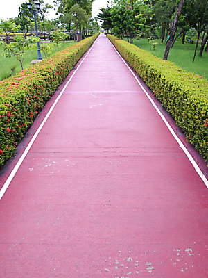포토 JPG 해외이미지 나무 식물 공원 길 선 백그라운드 밭 표면 풍경 잔디 사람없음 야외 빨간색 정원 경기장 산책 거친 보행로 오솔길 강의 방향 관목 일반 그런지 땅바닥 루트 방법 선로 인공 해외202004 해외포토 공공시설 컬러 농업 스포츠시설 휴식 바닥 파일형식 이미지허브