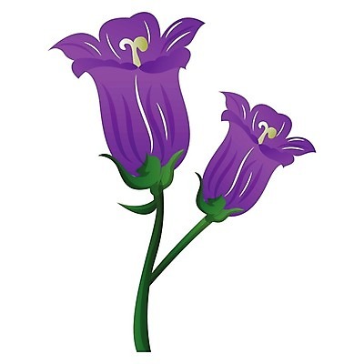EPS 해외이미지 식물 꽃 백그라운드 꽃무늬 일러스트 자연 초록색 여름 파란색 정원 보라색 봄 벚꽃 종 흰색 개화 제비꽃 고립 블루벨 캄파눌라 해외202004 해외일러스트 계절 컬러 무늬 생태계 파일형식 벡터 이미지허브