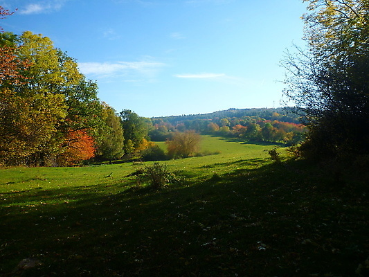 포토 JPG 해외이미지 나무 식물 계절 공원 백그라운드 잎 밭 자연 하늘 날씨 건조 풍경 사람없음 야외 목재 초록색 여름 파란색 빛 갈색 노란색 우주 환경 가을 나뭇가지 큼 심볼 장면 나무껍질 내추럴 옛날 해외202004 해외포토 공공시설 컬러 농업 재료 껍질 크기 생태계 파일형식 이미지허브