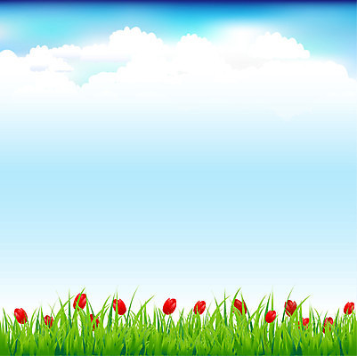 EPS 해외이미지 식물 배너 꽃잎 꽃 백그라운드 잎 꽃무늬 일러스트 자연 벽지 엄마 추상 부활절 프레임 발렌타인데이 미술 풍경 여름 정원 화환 봄 튤립 벚꽃 신선 다발 꽃집 오브젝트 내추럴 월 고립 해외202004 해외일러스트 계절 기념일 무늬 가족 데이이벤트 문화예술 상점 날짜 생태계 파일형식 벡터 이미지허브