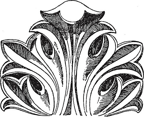 EPS 해외이미지 디자인 선 잎 일러스트 미술 검은색 수확 흰색 그림 판화 비잔틴 콘스탄티노플 해외202004 해외일러스트 식물 컬러 농업 문화예술 이스탄불 제국 파일형식 벡터 이미지허브