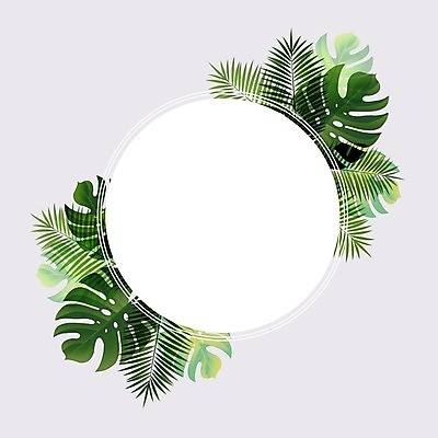 EPS 해외이미지 배너 백그라운드 잎 일러스트 텍스트 벽지 휴가 사람없음 초록색 여름 햇빛 세일 해외202004 해외일러스트 식물 계절 컬러 태양 파일형식 벡터 이미지허브