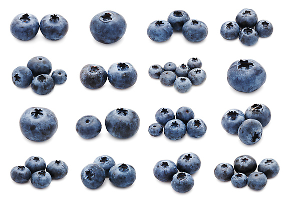 포토 JPG 해외이미지 식물 열매 백그라운드 건강 사람없음 파란색 세트 보라색 검은색 흰색 원형 달콤 남색 수집 유기농 블루베리 해외202004 해외포토 도형 웰빙 컬러 과일 맛 파일형식 이미지허브