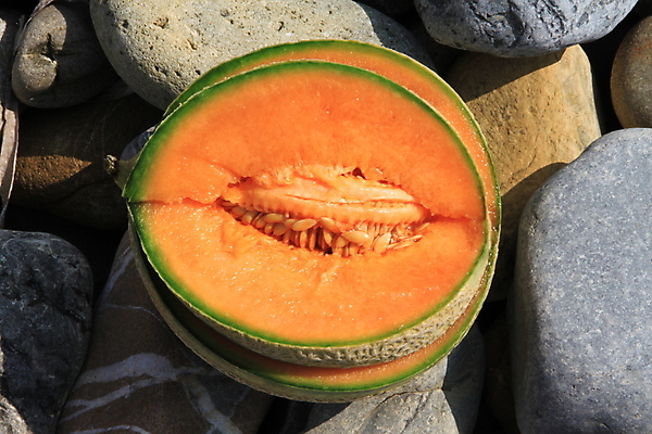 포토 JPG 해외이미지 오렌지 과일 씨앗 사람없음 초록색 껍질 멜론 해외202004 해외포토 식물 컬러 파일형식 이미지허브