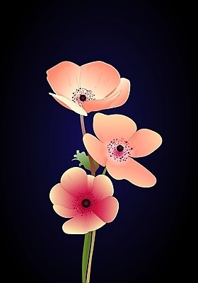 EPS 해외이미지 식물 템플릿 디자인 꽃 꽃다발 결혼 잎 꽃무늬 일러스트 자연 벽지 수채화 프레임 미술 장식 여름 세트 정원 페인트 봄 수확 흰색 나뭇가지 시골 신용카드 고급 우아함 숲 스케치 수집 심볼 복고 초대 아이비 엘리먼트 해외202004 해외일러스트 나무 계절 컬러 컨셉 무늬 농업 문화예술 이벤트 금융 생태계 파일형식 벡터 이미지허브